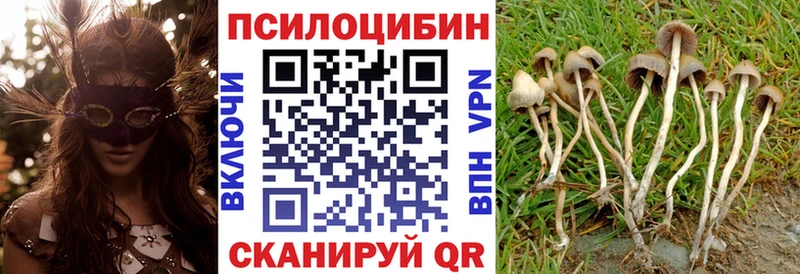 Купить  Алексин  Галлюциногенные грибы MAGIC MUSHROOMS 